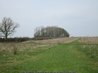 George Henry Wood © Jonathan Thacker :: Geograph Britain and Ireland George Henry Wood &copy; Jonathan Thacker
