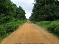 Harling Drove © Keith Evans cc-by-sa/2.0 :: Geograph Britain and Ireland Harling Drove &copy; Keith Evans cc-by-sa/2.0