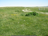 Track at Stilligarry/Stadhlaigearraidh © M J Richardson :: Geograph Britain and Ireland Track at Stilligarry/Stadhlaigearraidh... 