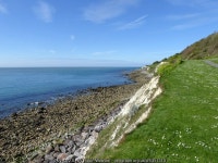 Coast west of Ventnor © Robin Webster cc-by-sa/2.0 :: Geograph Britain and Ireland Coast west of Ventnor &copy; Robin Webster cc... 