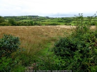 Rushy ground, Aghakinmart © Kenneth Allen cc-by-sa/2.0 :: Geograph Britain and Ireland Rushy ground, Aghakinmart &copy; Kenneth... 