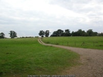 Track to Nether Poppleton © DS Pugh :: Geograph Britain and Ireland Track to Nether Poppleton &copy; DS Pugh
