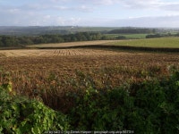 View from Friars Hele Cross © Derek Harper :: Geograph Britain and Ireland View from Friars Hele Cross &copy; Derek Harper