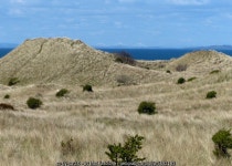 Sand dunes at Gullane Sands © Mat Fascione :: Geograph Britain and Ireland Sand dunes at Gullane Sands &copy; Mat Fascione