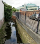 Streamlike River Chelt, Cheltenham © Jaggery :: Geograph Britain and Ireland Streamlike River Chelt, Cheltenham &copy; Jaggery