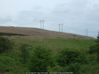 Grazing and power lines near Highshaw... © JThomas :: Geograph Britain and Ireland Grazing and power lines near Highshaw...... 