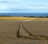 Farmland next to the A1068 © Mat Fascione cc-by-sa/2.0 :: Geograph Britain and Ireland Farmland next to the A1068... 
