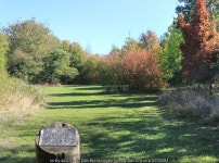 Islip Millennium Wood © Des Blenkinsopp cc-by-sa/2.0 :: Geograph Britain and Ireland Islip Millennium Wood &copy; Des... 