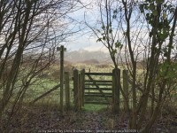 Leaving Hilland Furze © Chris Thomas-Atkin :: Geograph Britain and Ireland Leaving Hilland Furze &copy; Chris Thomas-Atkin