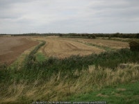 Fields by Humber Side Lane © Hugh Venables cc-by-sa/2.0 :: Geograph Britain and Ireland Fields by Humber Side Lane &copy; Hugh... 
