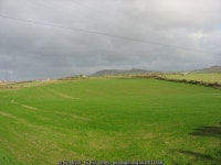 © Eric Jones cc-by-sa/2.0 :: Geograph Britain and Ireland A... planted field of cultivated... &copy; Eric Jones cc-by-sa/2.0