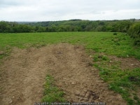Field near New House © Philip Halling :: Geograph Britain and Ireland Field near New House &copy; Philip Halling