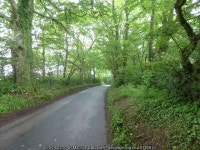 Horseshoe Road, near Thorncombe © Maurice D Budden :: Geograph Britain and Ireland Horseshoe Road, near Thorncombe... 
