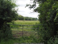 View of grassland from gate (C) David Pashley :: Geograph Britain and Ireland View of grassland from gate (C) David Pashley