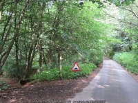 Greensand Way, near Dorking © Malc McDonald :: Geograph Britain and Ireland Greensand Way, near Dorking &copy; Malc McDonald