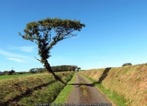 Llwybr ceffyl ger Fforest-Cerdin /... © Alan Richards :: Geograph Britain and Ireland Llwybr ceffyl ger Fforest-Cerdin /...... 