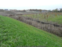 Expansion of the Finberry housing estate © John Baker :: Geograph Britain and Ireland Expansion of the Finberry housing estate... 