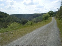 Track, South Brechfa Forest,... © David Jones :: Geograph Britain and Ireland Track, South Brechfa Forest,... &copy; David Jones