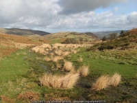 Wet path © Jonathan Wilkins :: Geograph Britain and Ireland Wet path &copy; Jonathan Wilkins