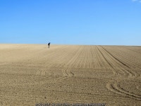 Social distancing on The Gog Magog Hills © John Sutton :: Geograph Britain and Ireland Social distancing on The Gog Magog Hills... 