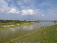 The sea wall at Higham Marshes © Marathon cc-by-sa/2.0 :: Geograph Britain and Ireland The sea wall at Higham Marshes... 