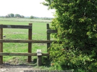 Step Stile near Murton © Geoff Holland cc-by-sa/2.0 :: Geograph Britain and Ireland Step Stile near Murton &copy; Geoff Holland... 