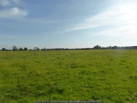 Buttercups, blue skies, and high cloud © Bob Harvey :: Geograph Britain and Ireland Buttercups, blue skies, and high cloud... 