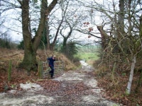 Old Dee embankment © John Hughes cc-by-sa/2.0 :: Geograph Britain and Ireland Old Dee embankment &copy; John Hughes cc-by-sa/2.0