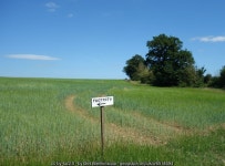 Footpath to the Left © Des Blenkinsopp cc-by-sa/2.0 :: Geograph Britain and Ireland Footpath to the Left &copy; Des Blenkinsopp... 