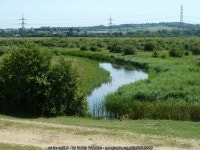 Waterway, Shorne Marshes © Robin Webster cc-by-sa/2.0 :: Geograph Britain and Ireland Waterway, Shorne Marshes &copy; Robin... 