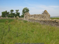 Ruined cottage east of Shield Ash © Mike Quinn cc-by-sa/2.0 :: Geograph Britain and Ireland Ruined cottage east of Shield Ash... 