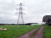 Fields south of Moor Monkton © David Brown :: Geograph Britain and Ireland Fields south of Moor Monkton &copy; David Brown