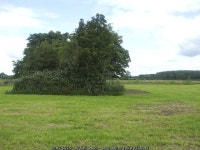 The ruins of old St Peter © Neil Owen cc-by-sa/2.0 :: Geograph Britain and Ireland The ruins of old St Peter &copy; Neil Owen cc... 