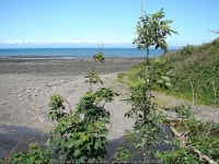 Beach in Little Quay Bay © John Lucas cc-by-sa/2.0 :: Geograph Britain and Ireland Beach in Little Quay Bay &copy; John Lucas cc... 