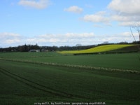 Fields east of Blackhill © Scott Cormie cc-by-sa/2.0... and Ireland Fields east of Blackhill &copy; Scott Cormie cc-by-sa/2.0