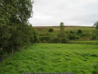Dunside Hill from Byrecleugh © M J Richardson :: Geograph Britain and Ireland Dunside Hill from Byrecleugh &copy; M J Richardson