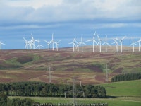 New tree planting at Mayshiels © M J Richardson cc-by-sa/2.0 :: Geograph Britain and Ireland New tree planting at Mayshiels... 
