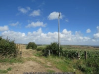 Wooden pylon near Dorchester © Malc McDonald :: Geograph Britain and Ireland Wooden pylon near Dorchester &copy; Malc McDonald