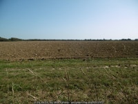 Meon, ploughed field © Mike Faherty :: Geograph Britain and Ireland Meon, ploughed field &copy; Mike Faherty