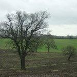 Countryside near Violet Hill © Alan Murray-Rust cc-by-sa/2.0 :: Geograph Britain and Ireland Countryside near Violet Hill... 