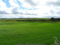 Grassland west of Bellerby © JThomas cc-by-sa/2.0 :: Geograph... and Ireland Grassland west of Bellerby &copy; JThomas cc-by-sa/2.0
