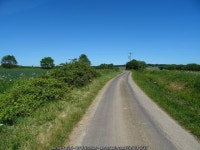 Hardings Lane towards Partney © JThomas :: Geograph Britain and Ireland Hardings Lane towards Partney &copy; JThomas