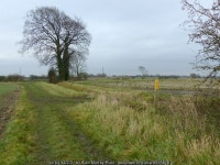 Footpath waymarker © Alan Murray-Rust cc-by-sa/2.0 :: Geograph Britain and Ireland Footpath waymarker &copy; Alan Murray-Rust cc... 