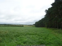 Farmland beside strip woodland © JThomas :: Geograph Britain and Ireland Farmland beside strip woodland &copy; JThomas