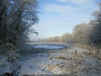 Part-frozen pond at Barons Haugh © Alan ODowd cc-by-sa/2.0 :: Geograph Britain and Ireland Part-frozen pond at Barons Haugh... 