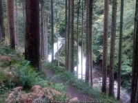 Rhaeadr Peiran in spate, Hafod © Rudi Winter :: Geograph Britain and Ireland Rhaeadr Peiran in spate, Hafod &copy; Rudi Winter