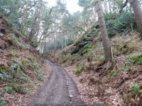 Path and track climbing the old red... © Jeremy Bolwell :: Geograph Britain and Ireland Path and track climbing the old red...... 