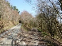 Junction on the lane © Jeremy Bolwell :: Geograph Britain and Ireland Junction on the lane &copy; Jeremy Bolwell