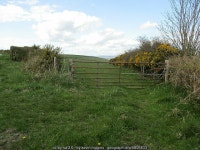 Field Gate and Furze © kevin higgins :: Geograph Britain and Ireland Field Gate and Furze &copy; kevin higgins