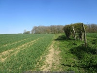 Footpath to Bourne © Jonathan Thacker cc-by-sa/2.0 :: Geograph Britain and Ireland Footpath to Bourne &copy; Jonathan Thacker cc... 